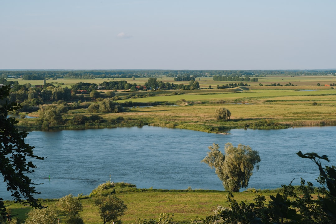 Photo Delta Dunării